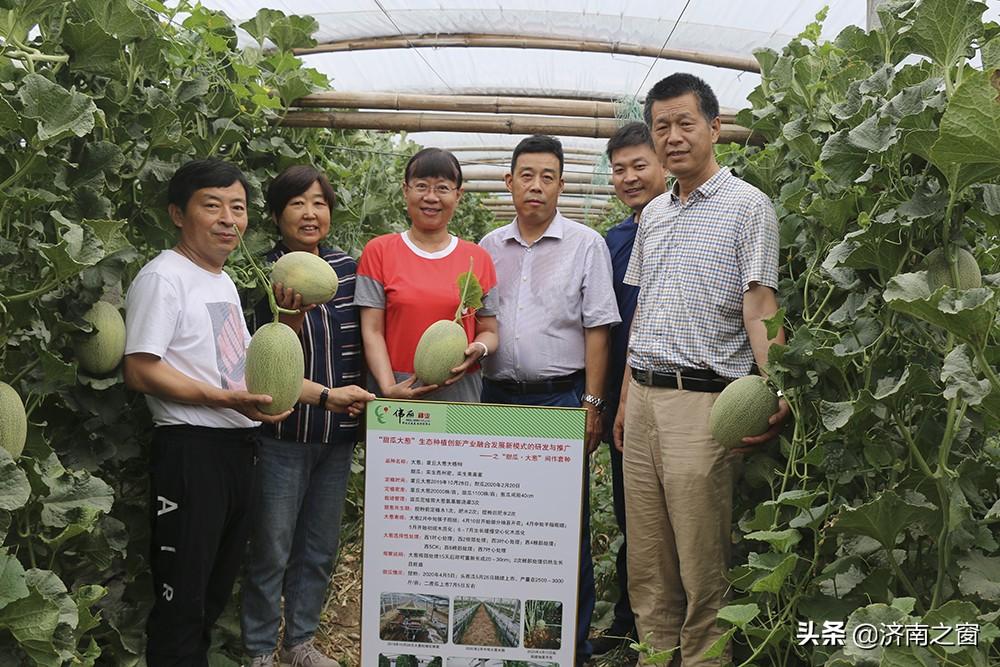 高官寨镇最新项目，引领地区发展的强大引擎，高官寨镇新项目，地区发展的强大引擎领航前行