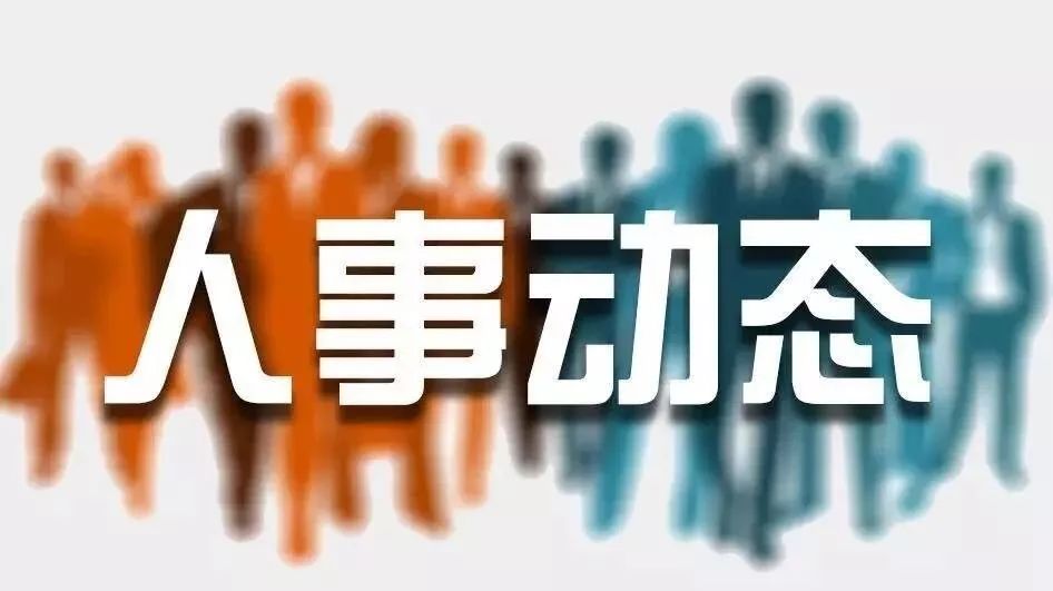 合德镇最新人事任命动态及展望，合德镇人事任命最新动态与未来展望