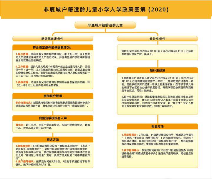 翠峦区小学最新招聘信息概览，翠峦区小学最新招聘公告概览