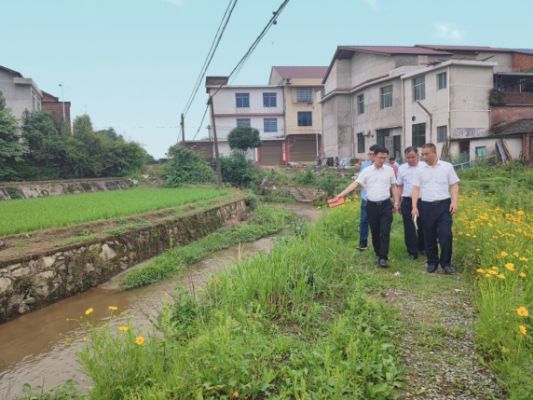 衡山县农业农村局最新发展规划，塑造乡村新未来，衡山县农业农村局最新发展规划，塑造乡村美好未来