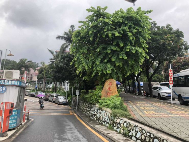 吉林街道最新项目，重塑城市风貌，激发社区活力，吉林街道新项目的启动，重塑城市风貌，焕发社区活力