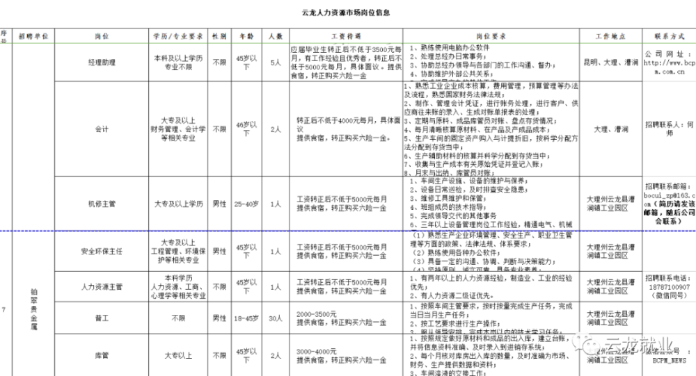 云龙区科技局最新招聘信息及更多求职机会解读，云龙区科技局招聘信息与求职机会深度解读