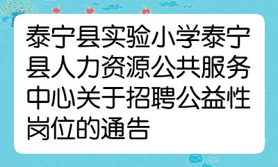 泰宁县小学最新招聘信息及其相关内容探讨，泰宁县小学最新招聘信息及相关内容深度探讨